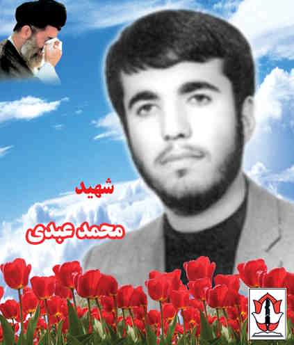 شهید محمد عبدی نوروزآباد